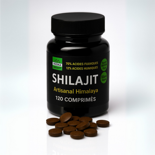 Comprimés de Shilajit naturel - x120