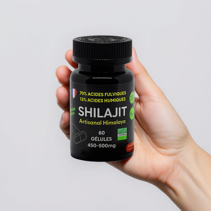 Gélules de Shilajit naturel - x60