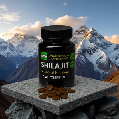 Comprimés de Shilajit naturel - x120