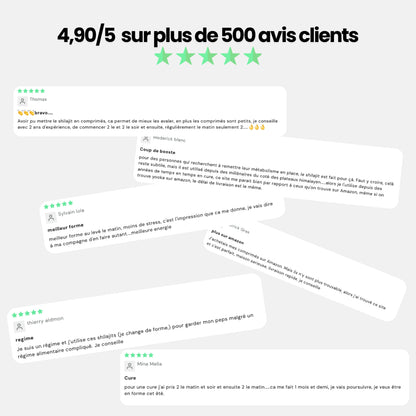 Comprimés de Shilajit naturel - x120