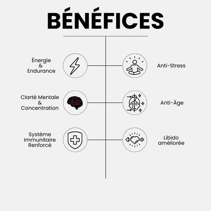 Comprimés de Shilajit naturel - x120