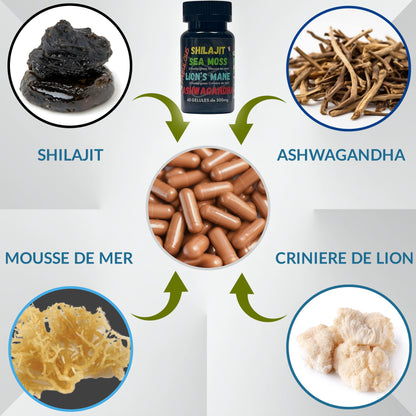 4 Fabulous – Booster naturel 4-en-1 (60 gélules)