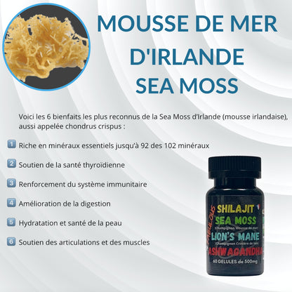 4 Fabulous – Booster naturel 4-en-1 (60 gélules)