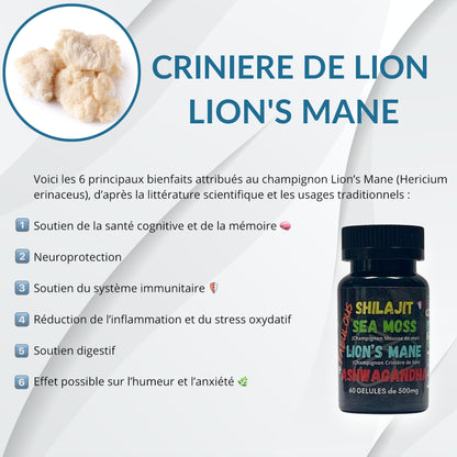 4 Fabulous – Booster naturel 4-en-1 (60 gélules)