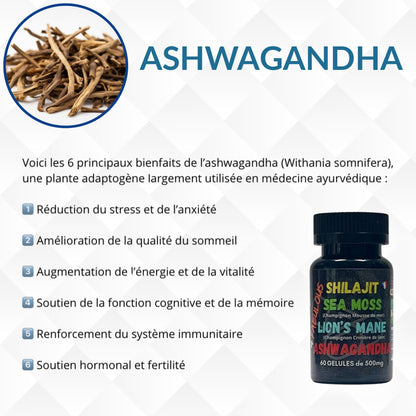 4 Fabulous – Booster naturel 4-en-1 (60 gélules)