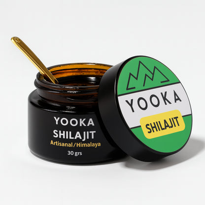 Résine de Shilajit naturel