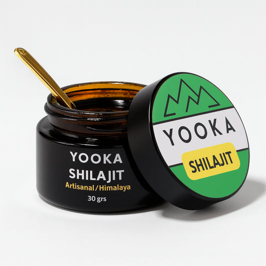 Résine de Shilajit naturel