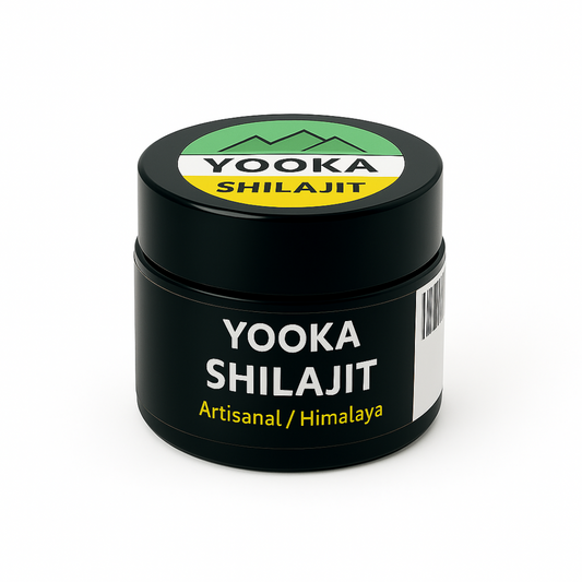 Résine de Shilajit naturel