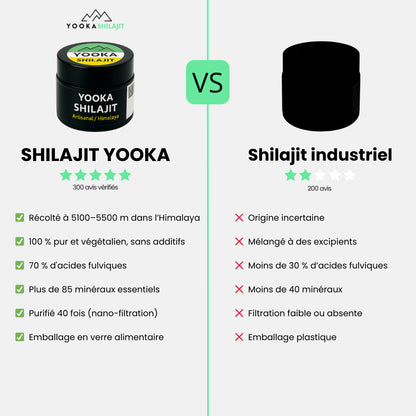 Résine de Shilajit naturel