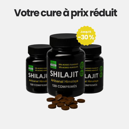 Comprimés de Shilajit naturel - x120