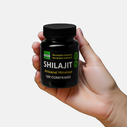 Comprimés de Shilajit naturel - x120