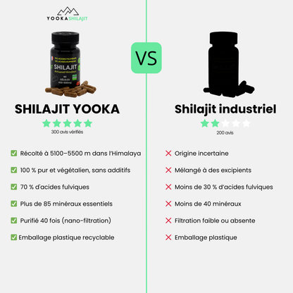 Gélules de Shilajit naturel - x60