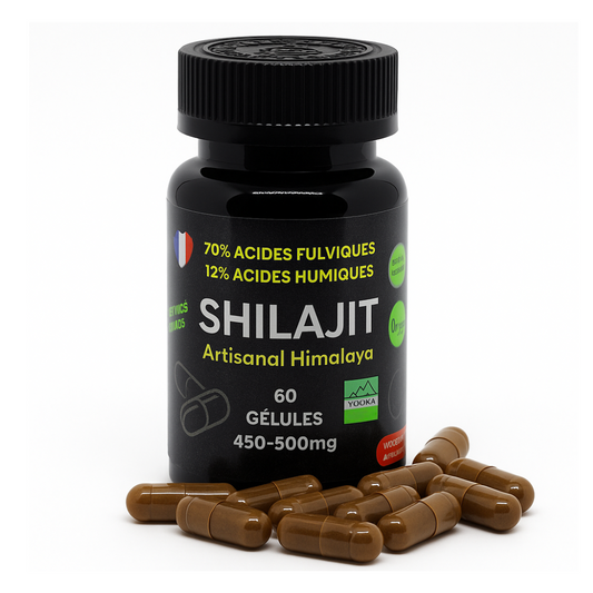 Gélules de Shilajit naturel - x60