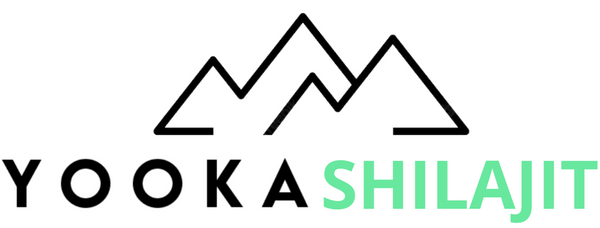 Yooka Shilajit