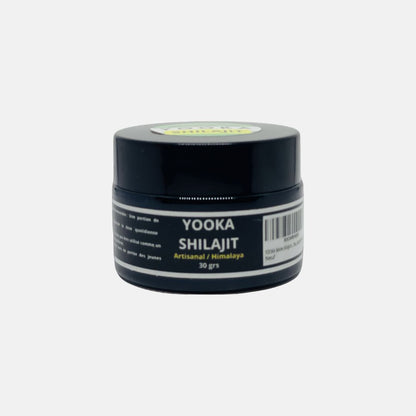 Résine de Shilajit naturel - 30g